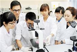 Trí thức Việt Nam trong sự nghiệp phát triển đất nước